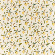 Lemon Tree Embroidery Bayleaf Lemon 236823 Curtains